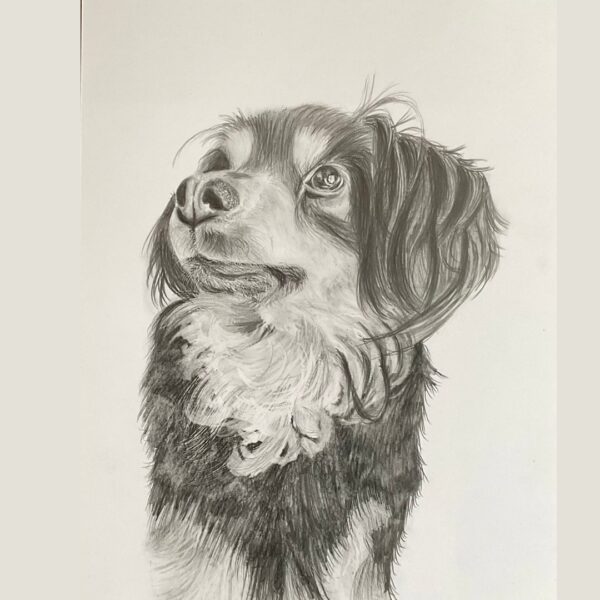 Retrato