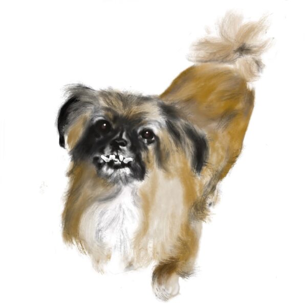 Dibujo digital
