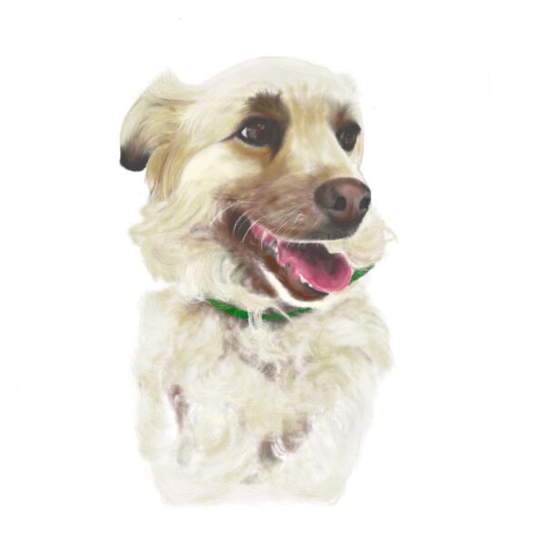 Dibujo digital