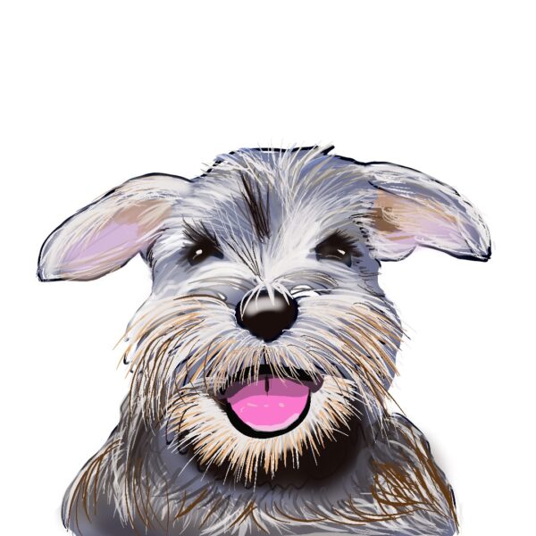 Dibujo digital
