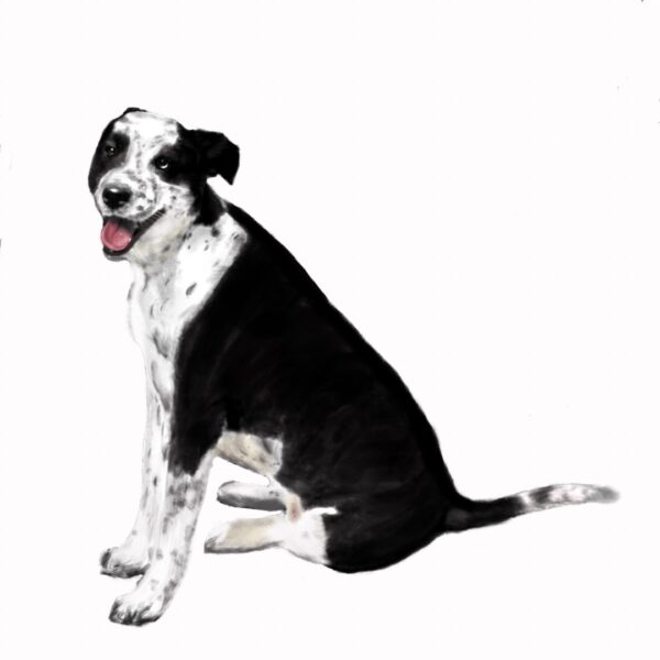 Dibujo digital