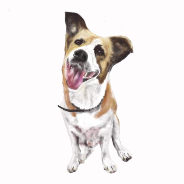 Dibujo digital