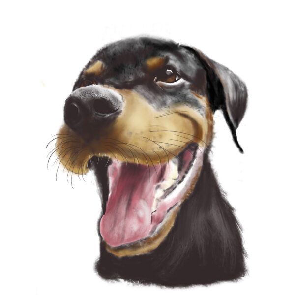 Dibujo digital