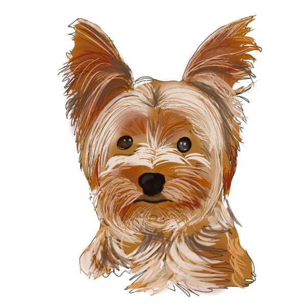 Dibujo digital