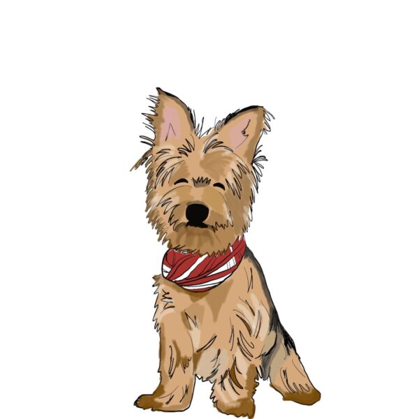 Dibujo digital