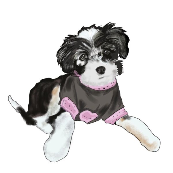 Dibujo digital