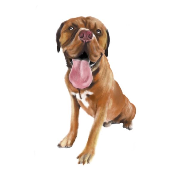 Dibujo digital