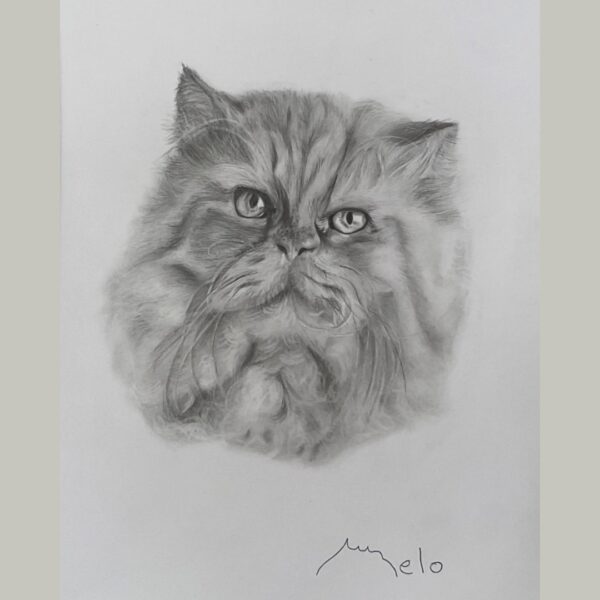 Dibujo realista